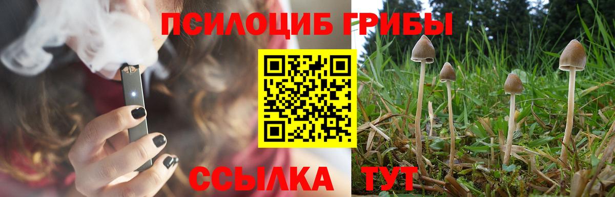 Псилоцибиновые грибы Psilocybe  Галлюциногенные грибы Magic Shrooms  Иваново  Вход с VPN 